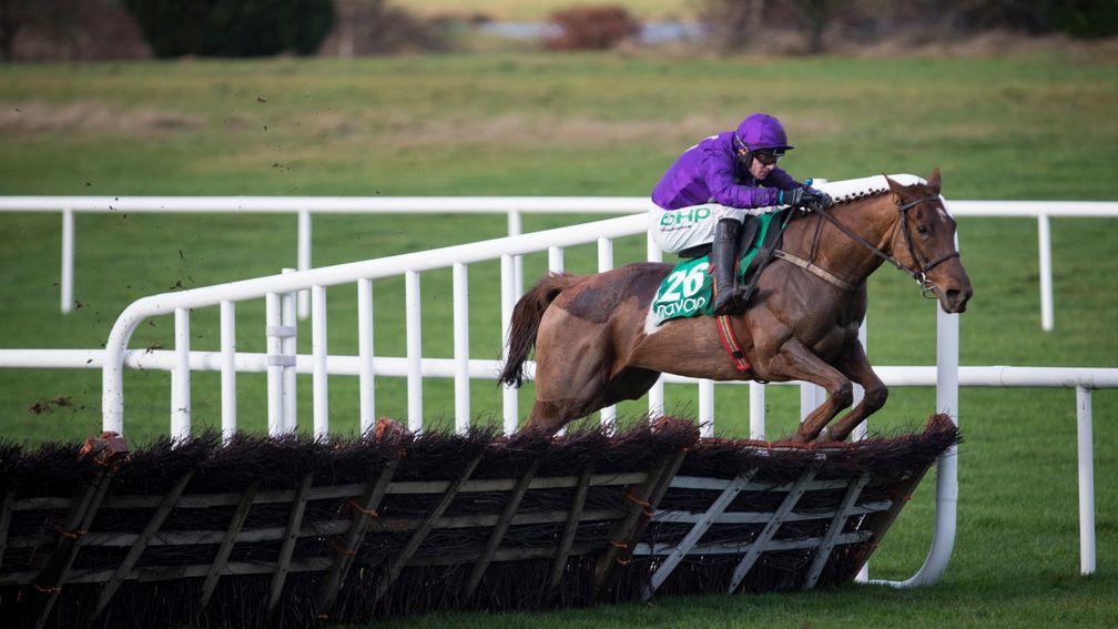 Buildmeupbuttercup: will be having her first Flat run for Willie Mullins at Ascot