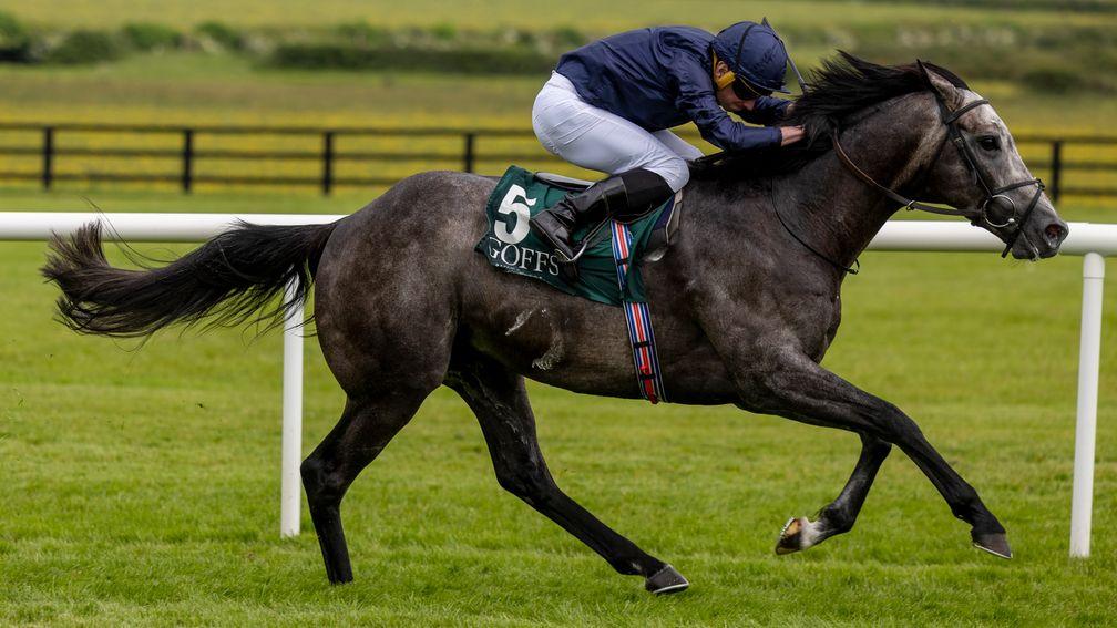 The Antarctic: winner at Naas and one of six entries for Aidan O'Brien