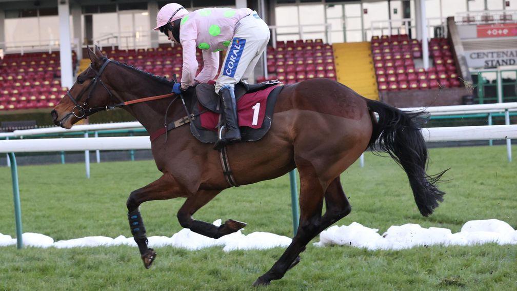 Royale Pagaille: a dominant display in the Peter Marsh Chase at Haydock