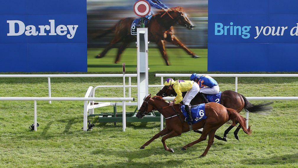 Sea Of Class won last year's Irish Oaks to make it seven victories in ten years for British-based runners