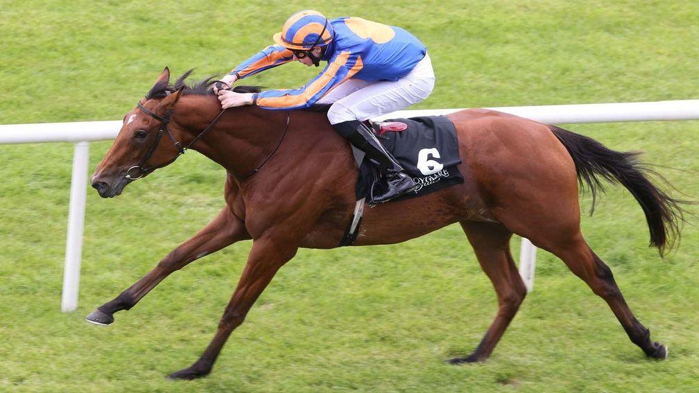 Maybe: the daughter of Galileo is also the dam of the useful Pavlenko to Deep Impact