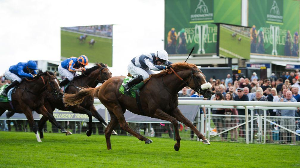 Ulysses: won the Juddmonte International - and did it convincingly