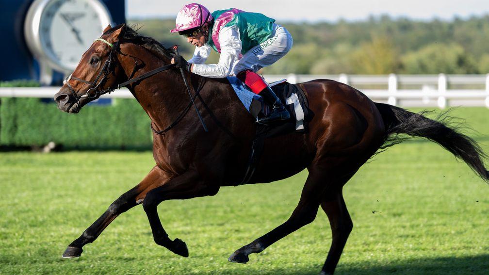 Sunray Major: a winner at Ascot two weeks ago but could be inconvenienced by the draw