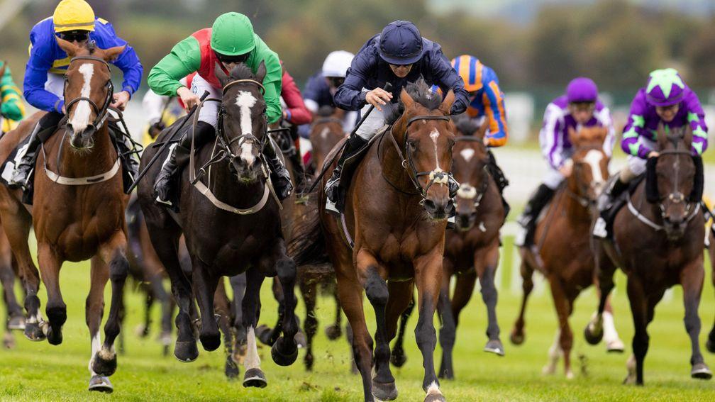 Wayne Lordan delivers Waterville from last to first for a dramatic Irish Cesarewitch success
