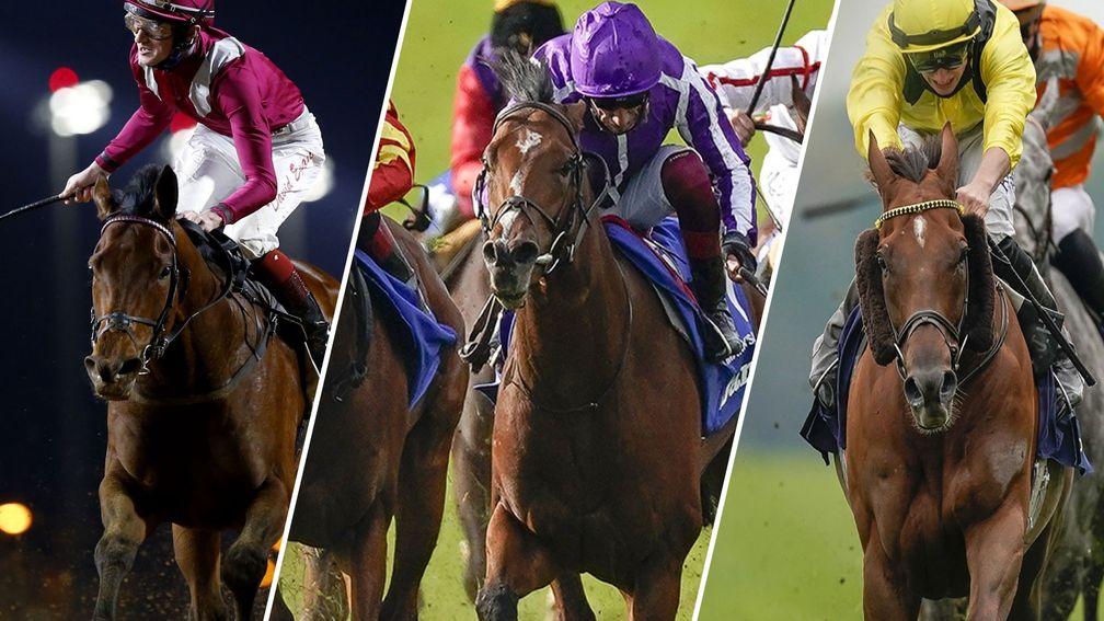 Mishriff, St Mark's Basilica and Addeybb: three leading contenders in Saturday's Eclipse
