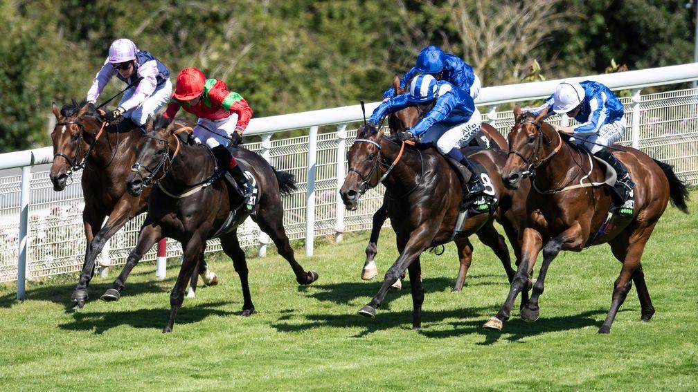 Junkanoo (red and green): a 50-1 winner for Gary Moore at Goodwood last Thursday
