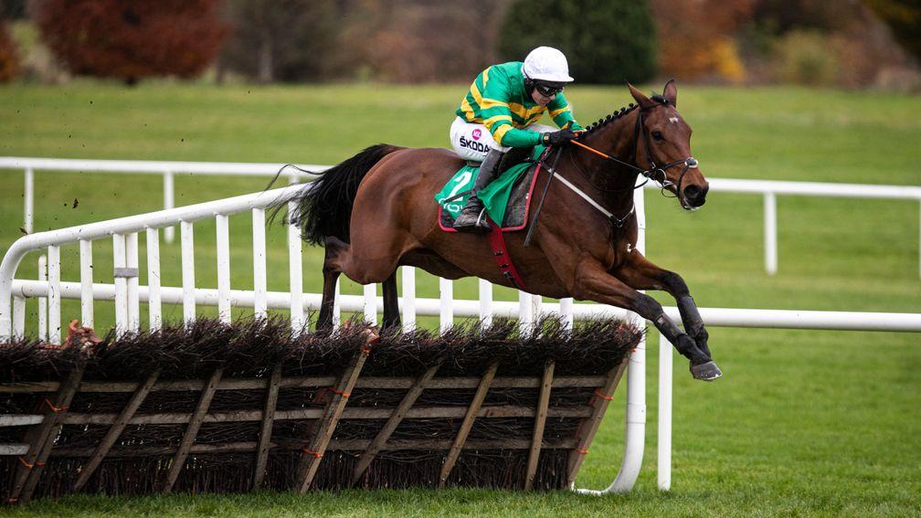 Andy Dufresne: is the star attraction in the Grade 2 Moscow Flyer Novice Hurdle at Punchestown on Sunday