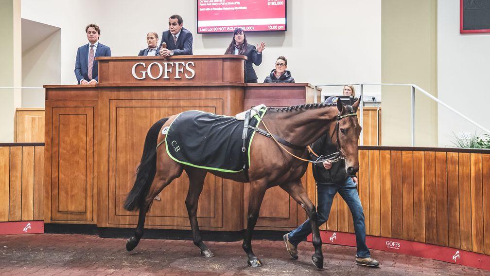 Do Your Job: the top lot fetches £150,000 in the Doncaster ring
