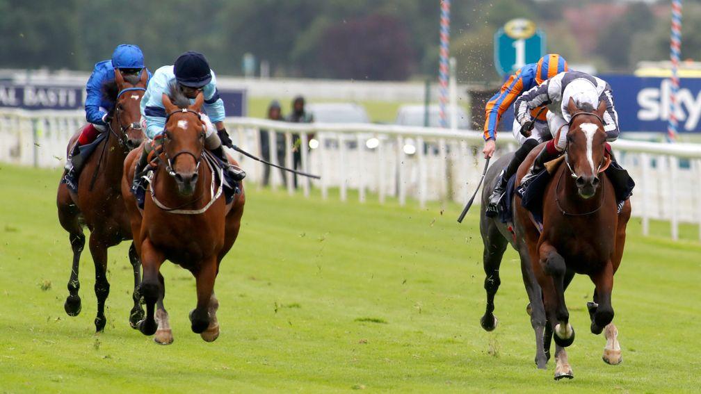 Thunderous (left) gets up to win the Dante Stakes at York ahead of Highest Ground