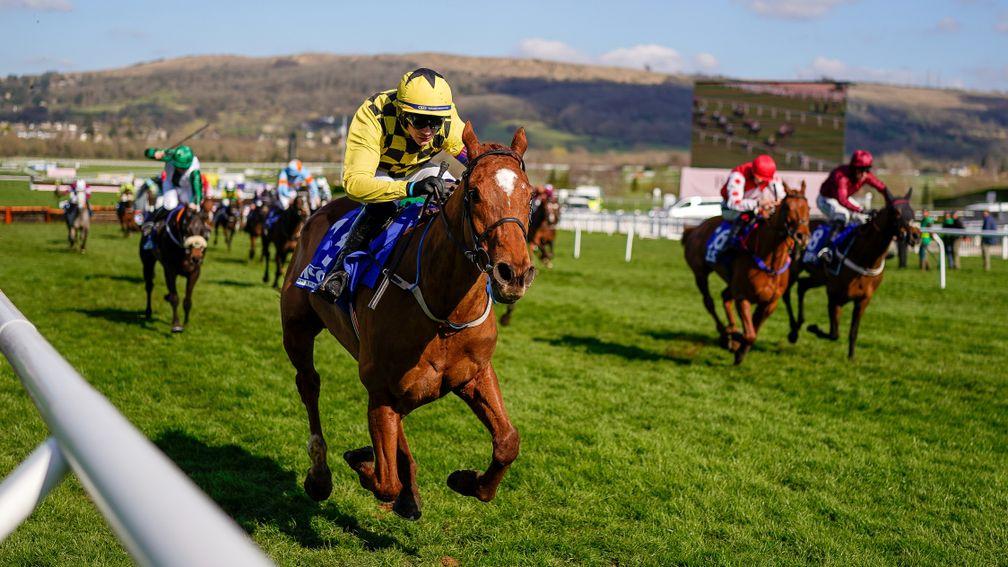 State Man: was an impressive winner of the County Hurdle and steps into Grade 1 company