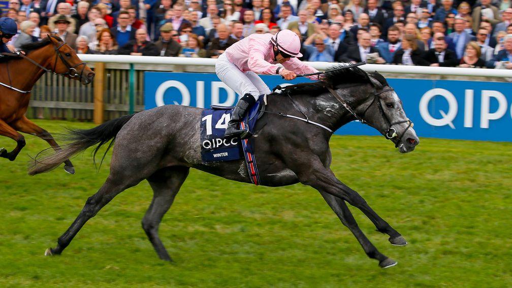 Winter: has now won two Guineas and at Royal Ascot
