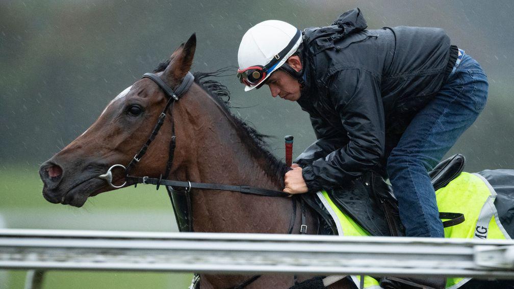Enable and rider Ben de Paiva exercise up Warren Hill