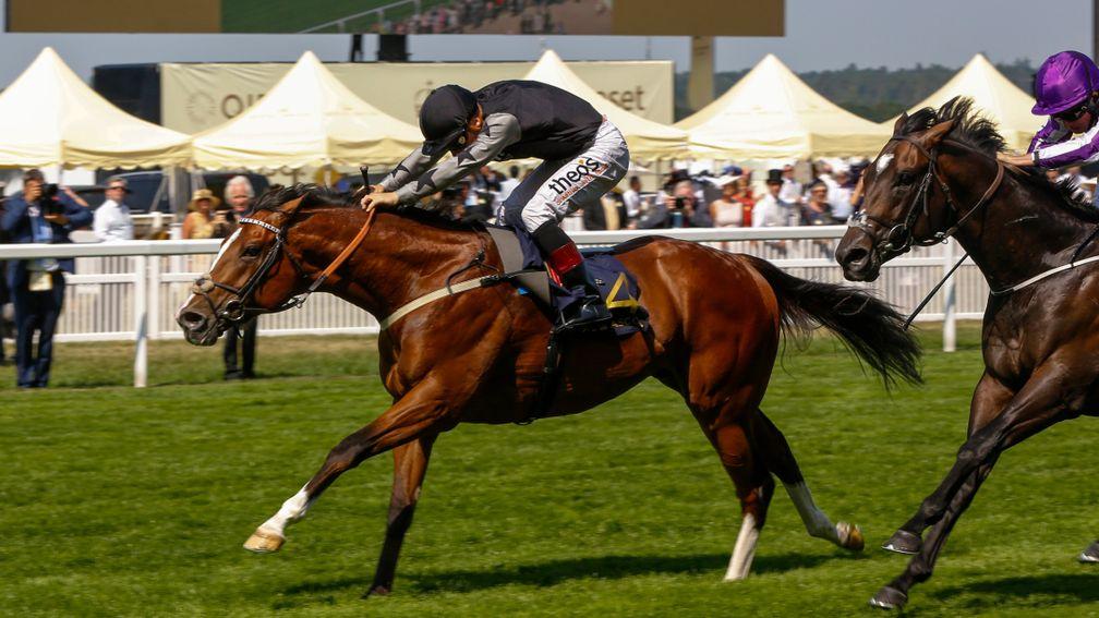 Rajasinghe: won the Coventry Stakes at Royal Ascot and sets the standard here