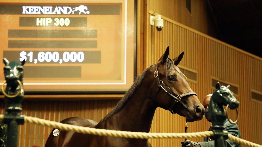 Stonestreet Bred & Raised's Quality Road colt tops the second day of the Keeneland September Yearling Sale at $1.6 million