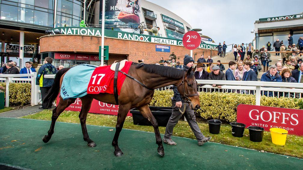 Malone Road selling for £325,000 at the Goffs UK Aintree Sale on Thursday