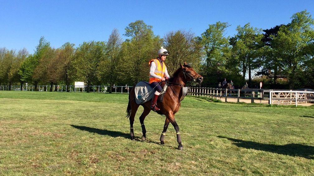 James Garfield warms down after his exercise this morning