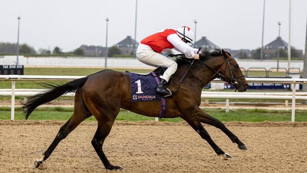 Ocean Vision: first winner for U S Navy Flag at Dundalk on Tuesday