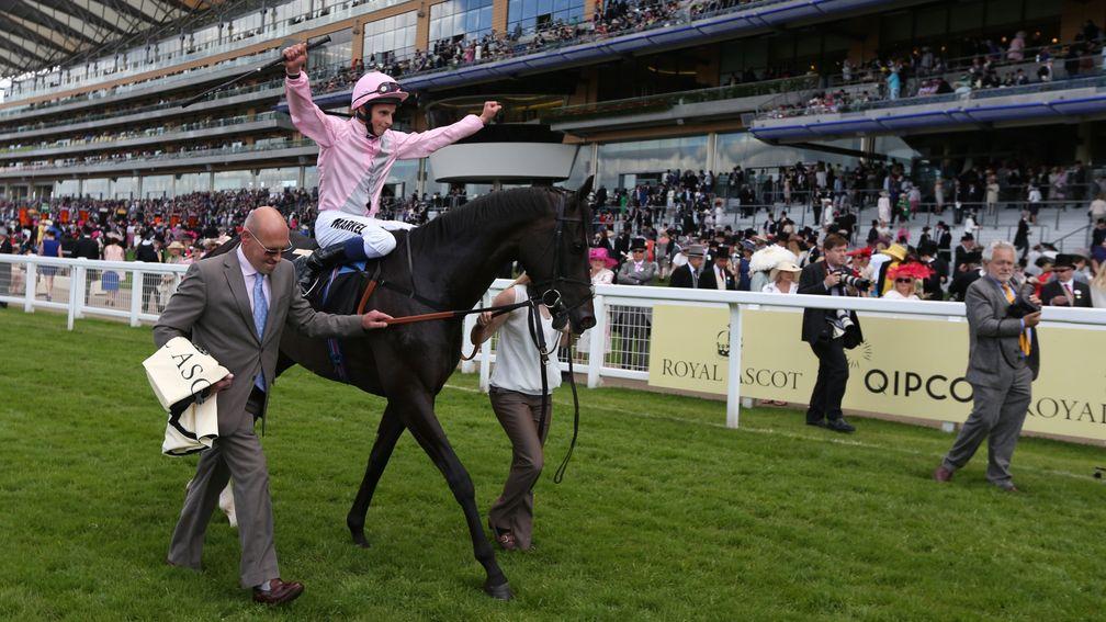 The Fugue after landing the 2014 Prince of Wales's Stakes