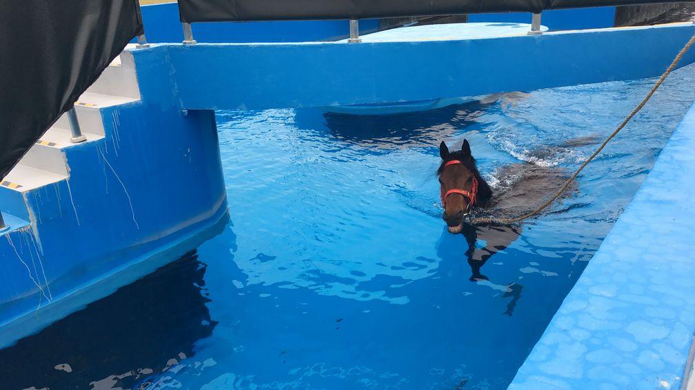 A Conghua resident exercises in the equine pool