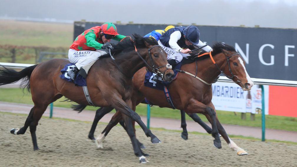 Diligent Harry (green and red silks): exciting youngster who was narrowly beaten last time out