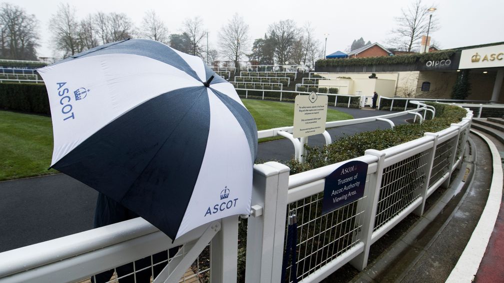 The rain has hit Ascot