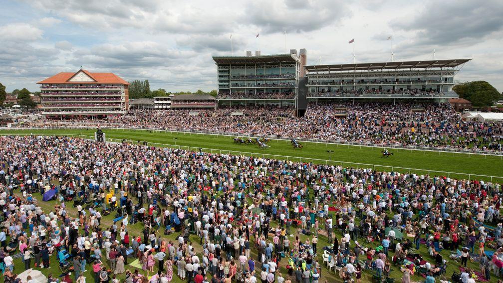 York: the four-day festival climaxes with the Ebor on Saturday
