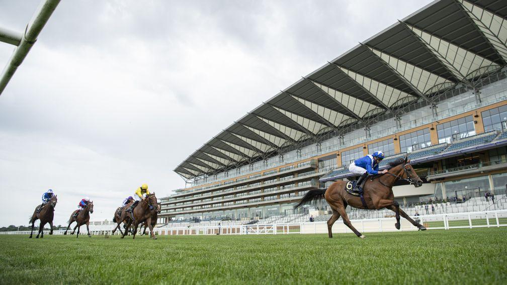 Lord North and James Doyle stretch clear of the opposition in the Prince of Wales's Stakes
