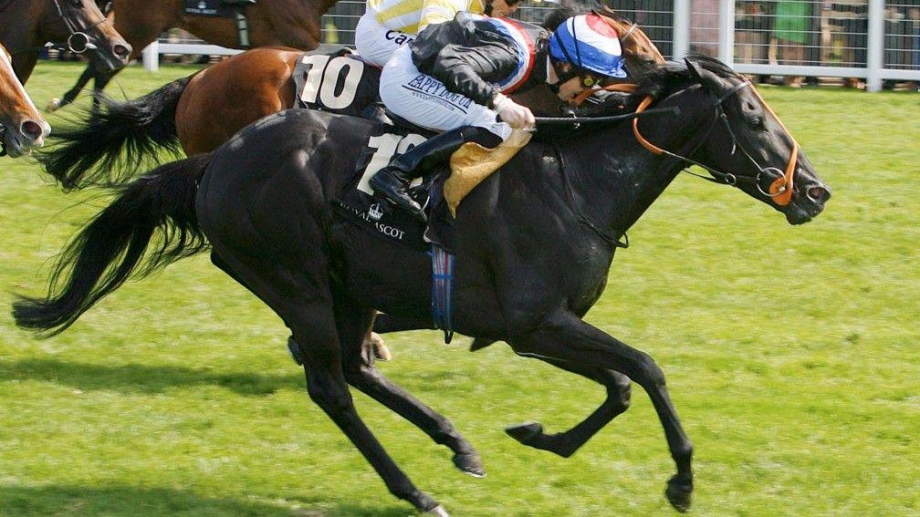 Society Rock winning the 2011 Golden Jubilee Stakes at Royal Ascot