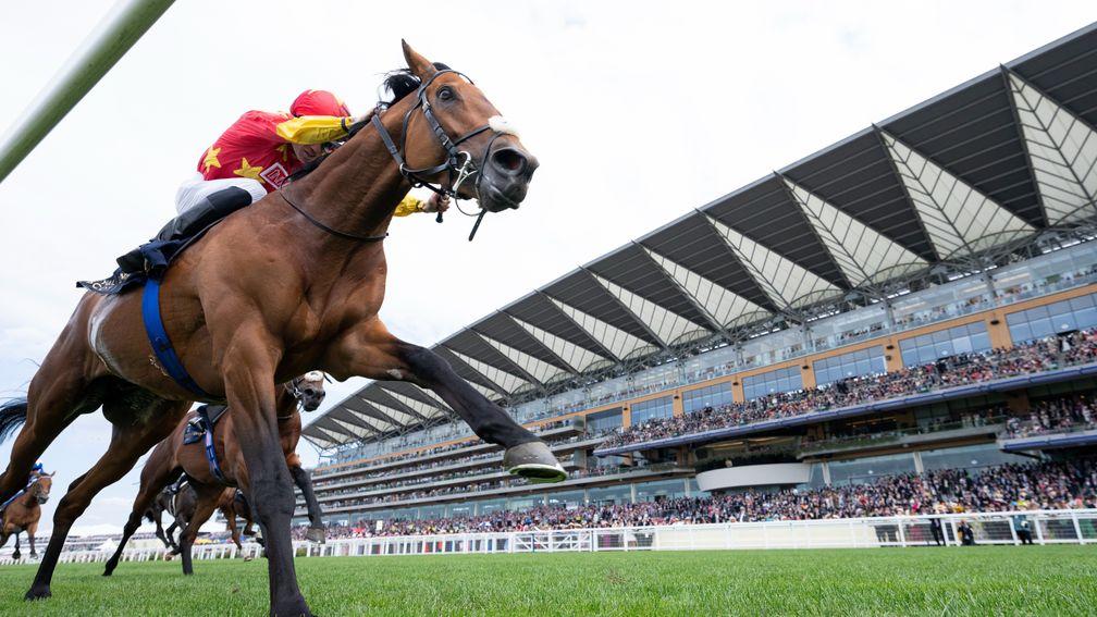 State Of Rest (Shane Crosse) wins the Prince Of Wales's StakesRoyal Ascot 15.6.22 Pic: Edward Whitaker