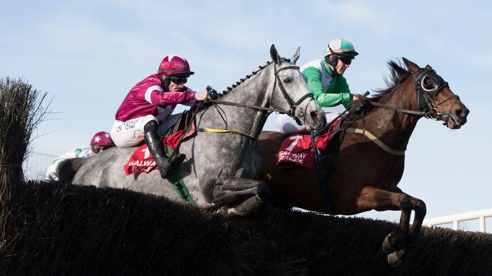 Tout Est Permis (left) is a leading Irish Grand National hope for Gigginstown