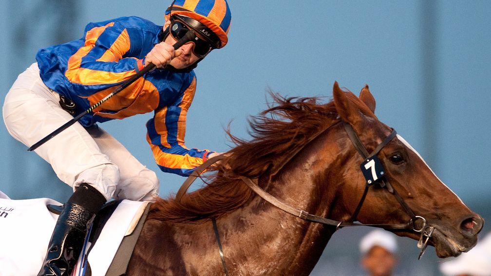 Daddy Long Legs in his racecourse pomp, winning the UAE Derby under Colm O'Donoghue