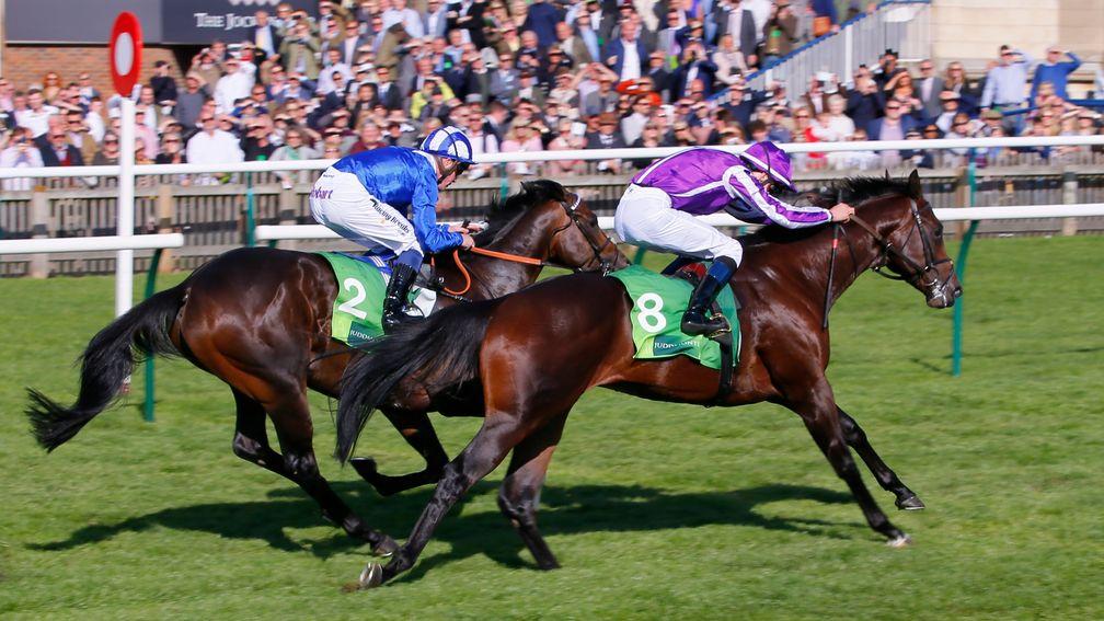 Jash (Jim Crowley, blue colours) just fails to contain Ten Sovereigns in the Group 1 Middle Park at Newmarket last year