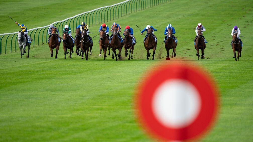The Jockey Club runs 15 racecourses including Newmarket
