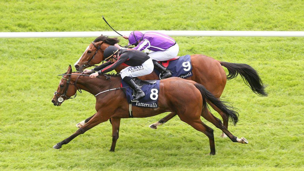 Jet Setting (8) holds off Minding to land the Irish 1,000 Guineas