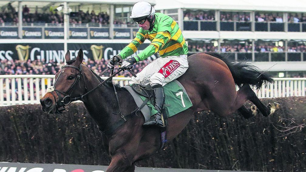 Minella Rocco: Irish Gold Cup could pave for the way for Cheltenham bid