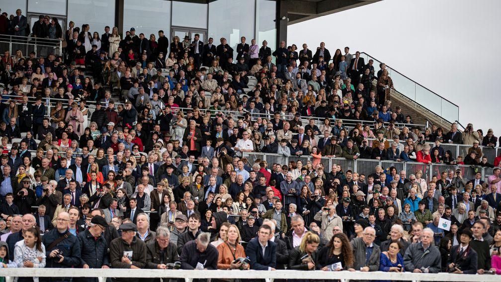 Crowds at the Curragh: home of the Irish Derby could host fans in late June