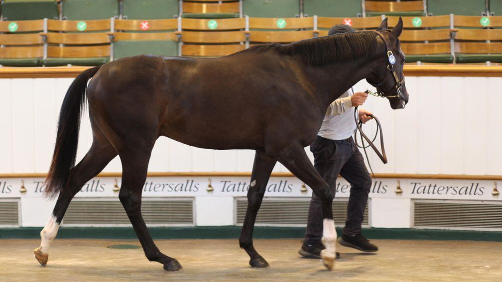 Onesmoothoperator was sold for £140,000 on Friday
