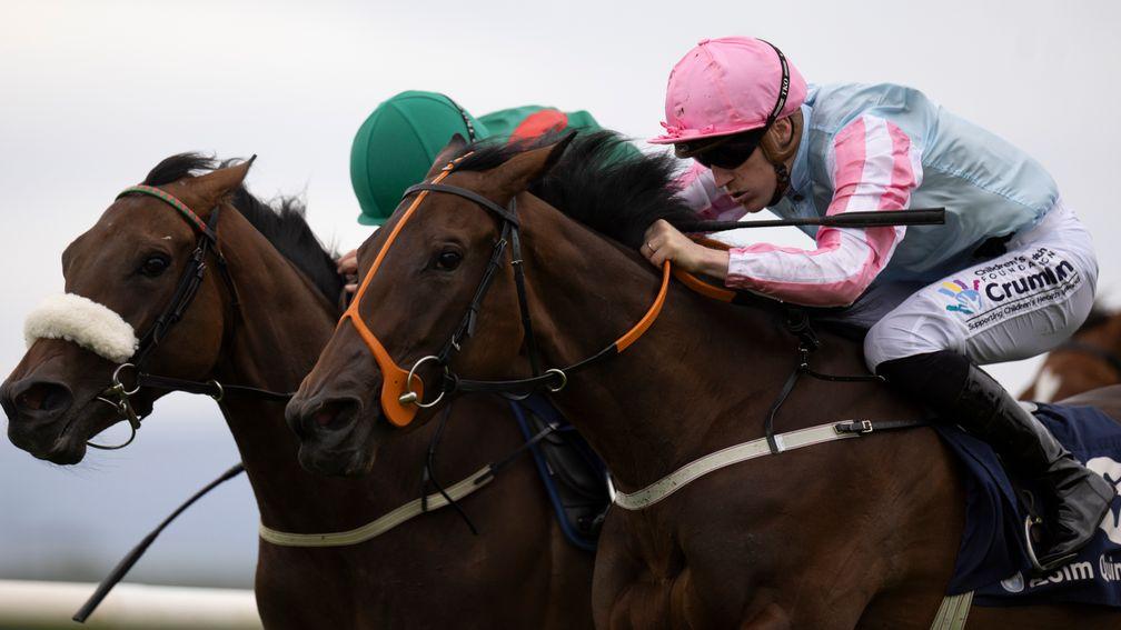 Purple Lily (nearside), a graduate of Chasefield Stables, won an informative Galway maiden on debut
