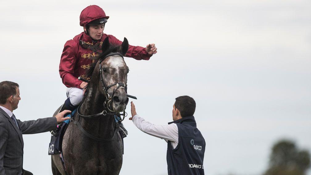 Roaring Lion: brilliant colt won the 2018 Qipco Irish Champion Stakes under Oisin Murphy