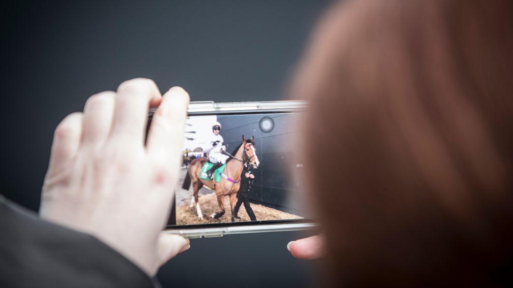 Fans' favourite: a racegoer takes a picture of Faugheen on her phone at Leopardstown in 2018