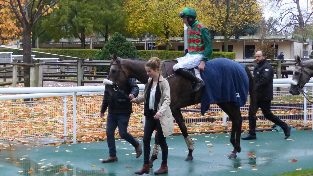 James Reveley and Master Dino return to the winner's enclosure at Auteuil