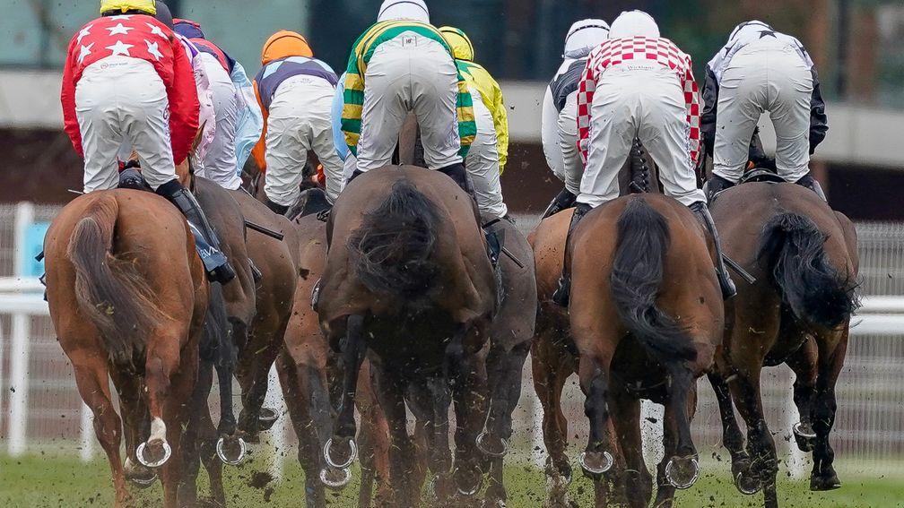 NEWBURY, ENGLAND - MARCH 04: Runner make their way to the back straight during The BetVictor Non-Runner-No-Bet At Cheltenham Seniors' Handicap Hurdle at Newbury Racecourse on March 04, 2023 in Newbury, England. (Photo by Alan Crowhurst/Getty Images)