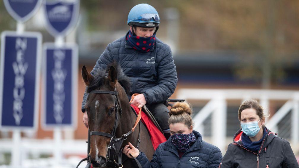 Emma Lavelle (right): with her star hurdler Paisley Park at Newbury's Winter Carnival gallops