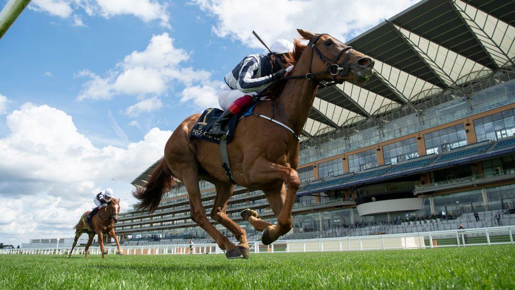 Alpine Star: as short as 6-1 for the Investec Oaks after her impressive Ascot success