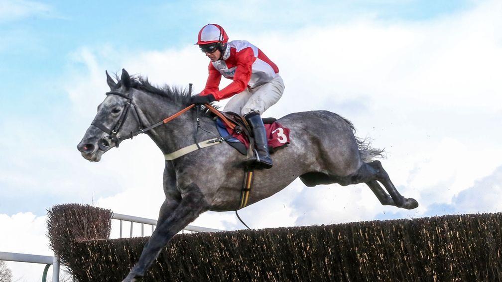 Hainan will relish the gruelling conditions at Haydock on Saturday
