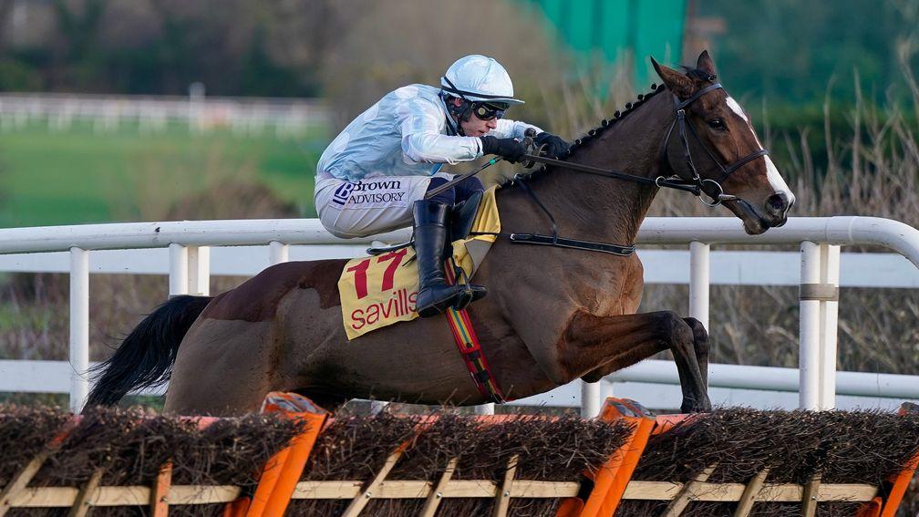 Jade De Grugy: now just 7-2 for Cheltenham glory in the Mares' Novices' Hurdle