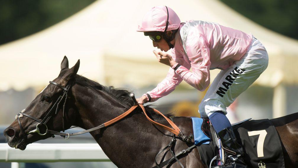 The Fugue: multiple Group 1 winner is owned by Watership Down Stud