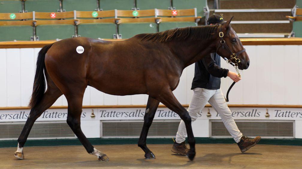 Lot 1,108: the Oasis Dream colt from Newsells Park Stud sells to Juddmonte for 310,000gns