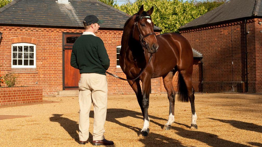 Frankel: sired by Galileo out of Danehill mare Kind