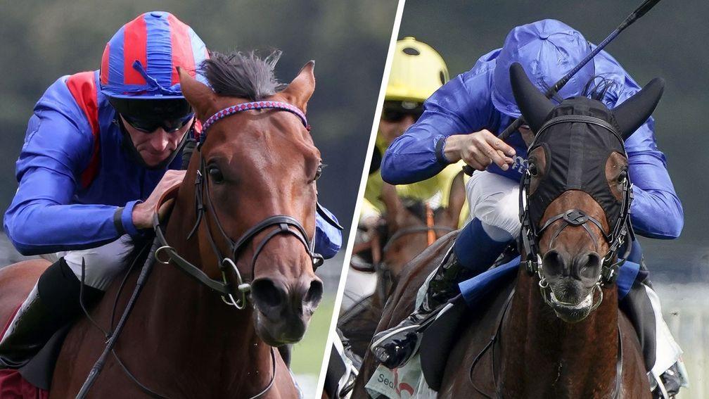 Dubai Honour (left) and Noble Truth: two horses to follow from the Arc weekend action